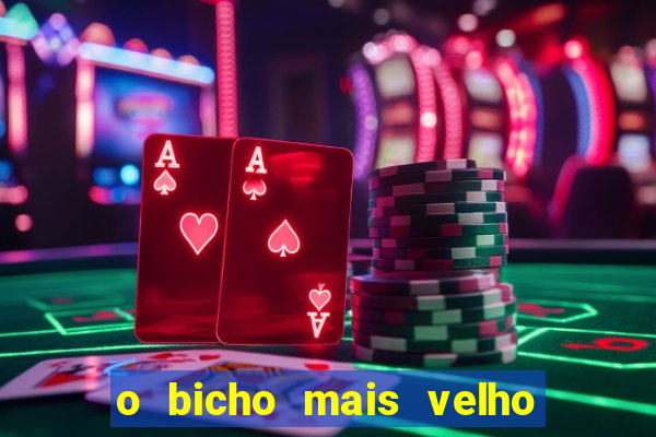 o bicho mais velho da loteria dos sonhos